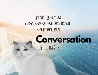 taller cultural conversacion en linea